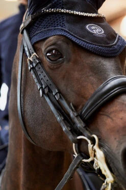 Eskadron Platinum Pure FS23 Glitter Mesh Fliegenhaube 8 Eskadron Platinum Pure FS23 Glitter Mesh Fliegenhaube -Back on Track Verkäufe 345512 DB 03