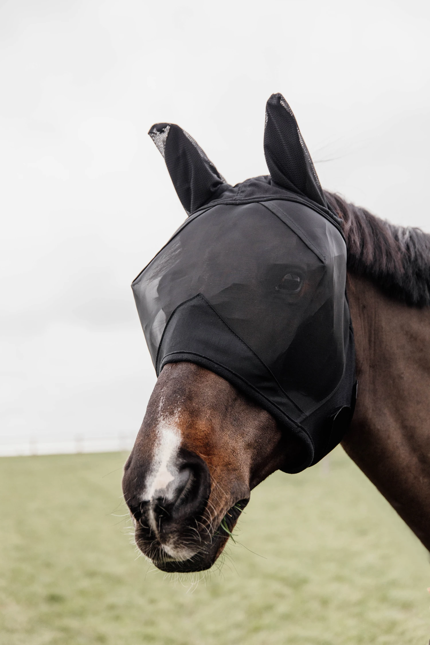 Kentucky Horsewear Classic Fliegenmaske Mit Ohren 3 Kentucky Horsewear Classic Fliegenmaske Mit Ohren – Bild 3