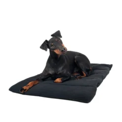 Back On Track Hundedecke