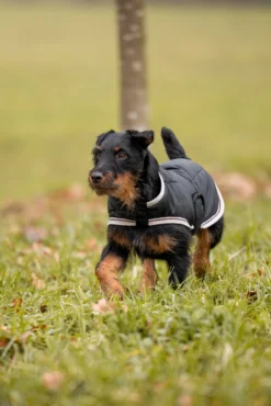 Horze Sudbury 2-in-1 Hundemantel, 0g, 100g -Back on Track Verkäufe D2043 bl 04