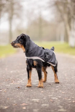 Horze Sudbury 2-in-1 Hundemantel, 0g, 100g -Back on Track Verkäufe D2043 bl 06