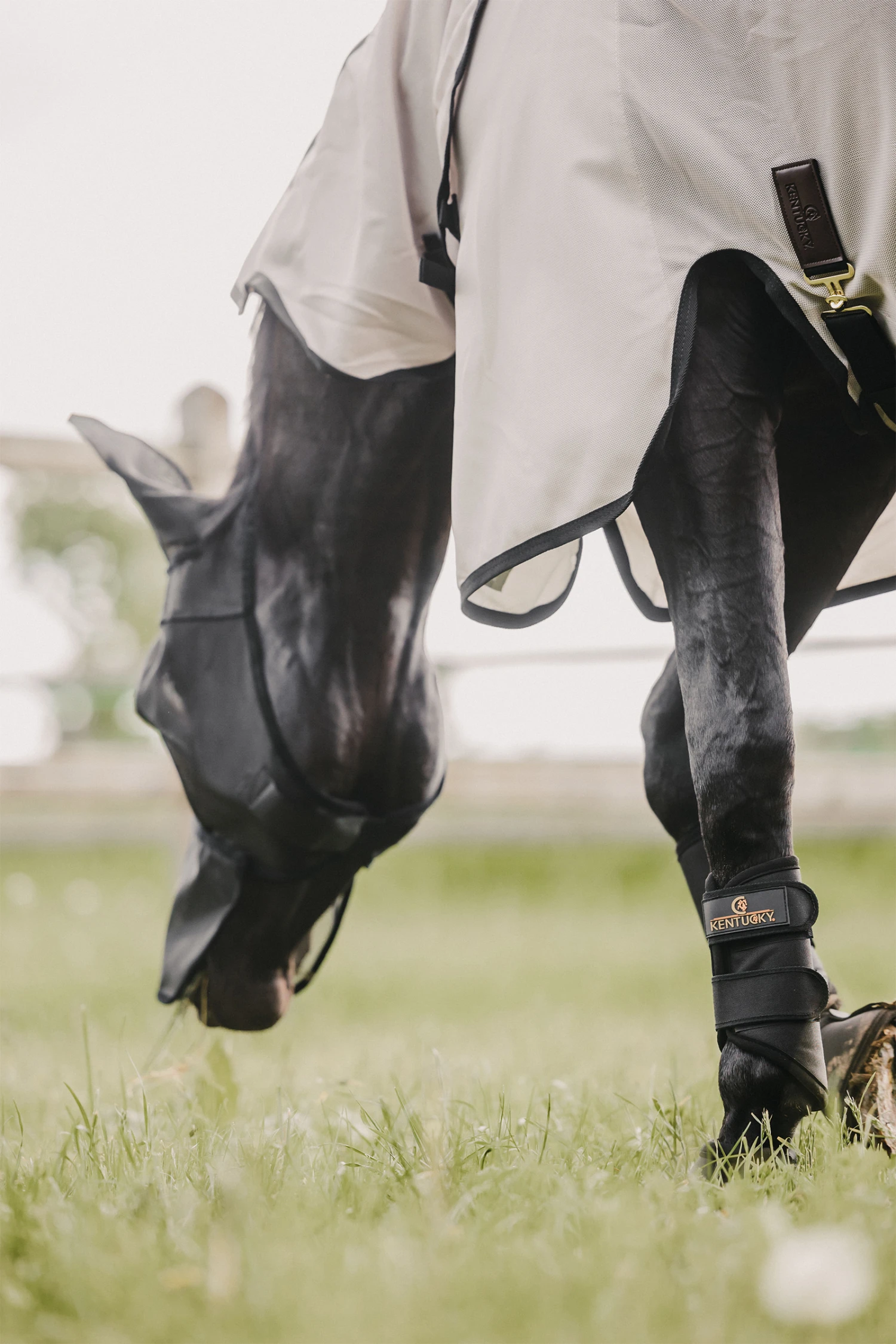 Kentucky Horsewear Classic Fliegenmaske Mit Nase Und Ohren 8 Kentucky Horsewear Classic Fliegenmaske Mit Nase Und Ohren – Bild 8