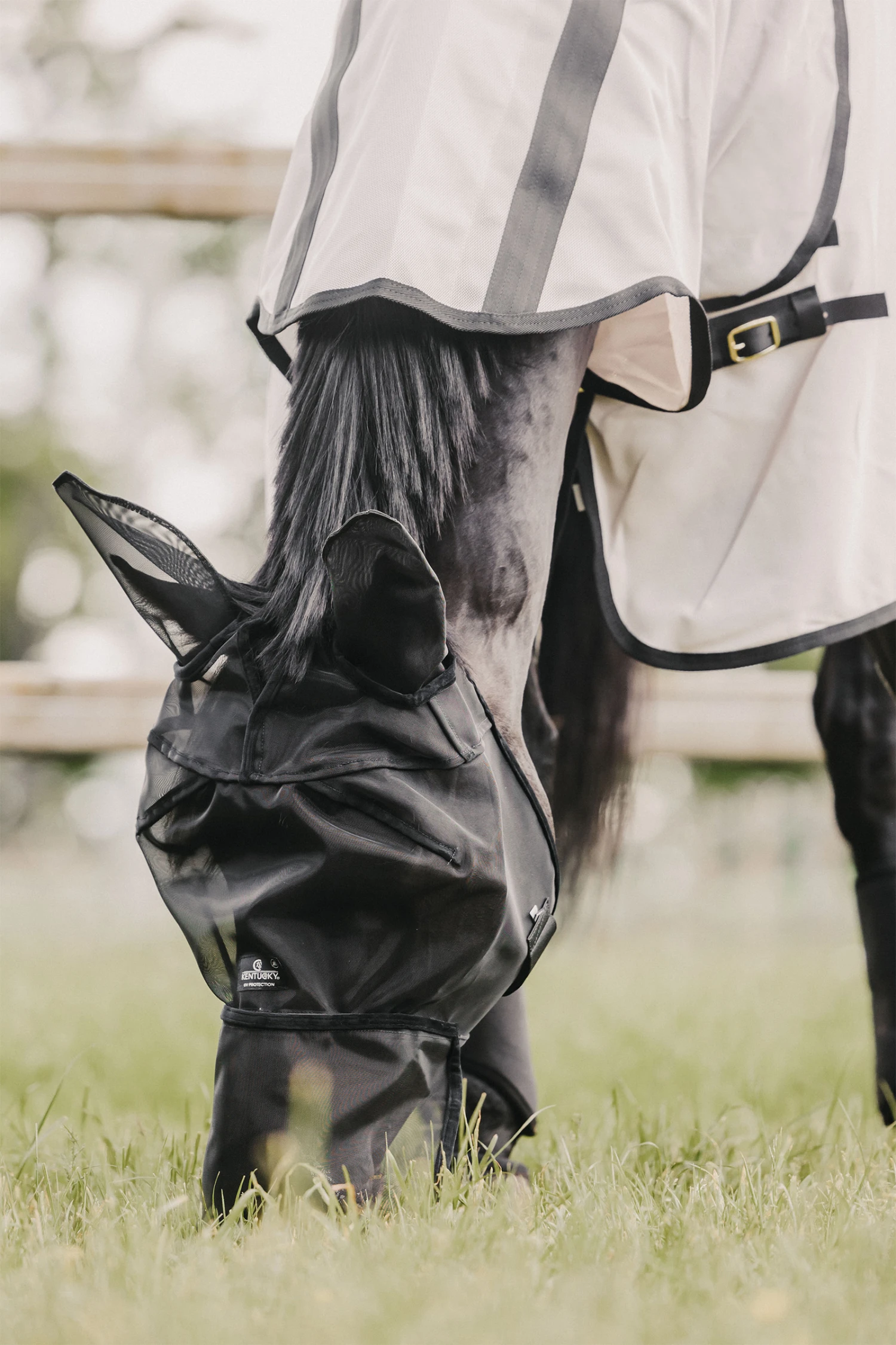 Kentucky Horsewear Classic Fliegenmaske Mit Nase Und Ohren 9 Kentucky Horsewear Classic Fliegenmaske Mit Nase Und Ohren – Bild 9