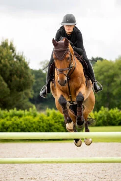 LeMieux Crystal Fliegenhaube -Back on Track Verkäufe Z1KR0 780 03