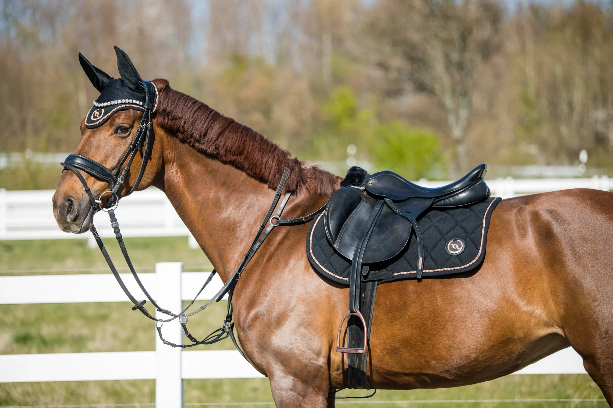 Back on Track Verkäufe -Back on Track Verkäufe 061A3378 edit scaled