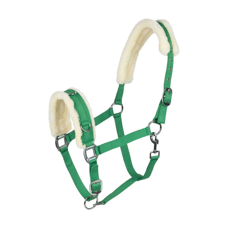 Back on Track Verkäufe -Back on Track Verkäufe 10821 GR 1 768x768 2