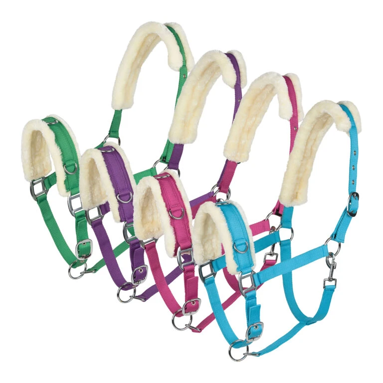 Back on Track Verkäufe -Back on Track Verkäufe 10821 TB 2 768x768 2